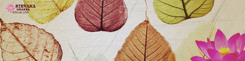 आइये इस यात्रा को आरंभ करते हैं!